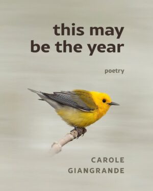 The Cover of This May Be The Year: Poetry by Carole Giangrande. The cover shows a yellow bird crouched on a branch.